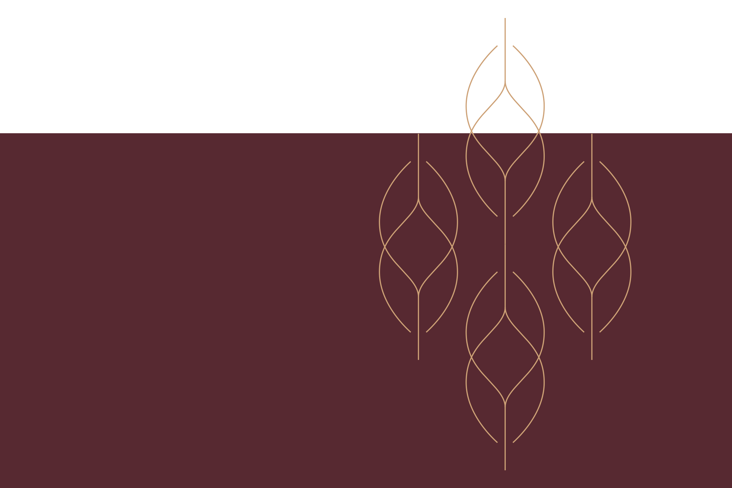 A column of outlined leaf shapes, linked by a single stem, rising out of a maroon field.