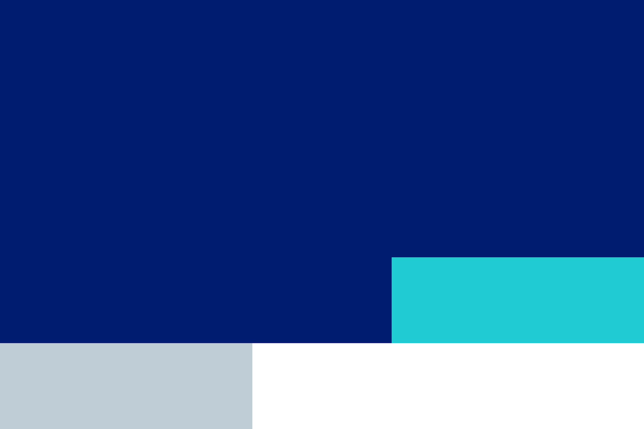 Colour blocks: a large field of navy with teal, pale blue-grey and white.