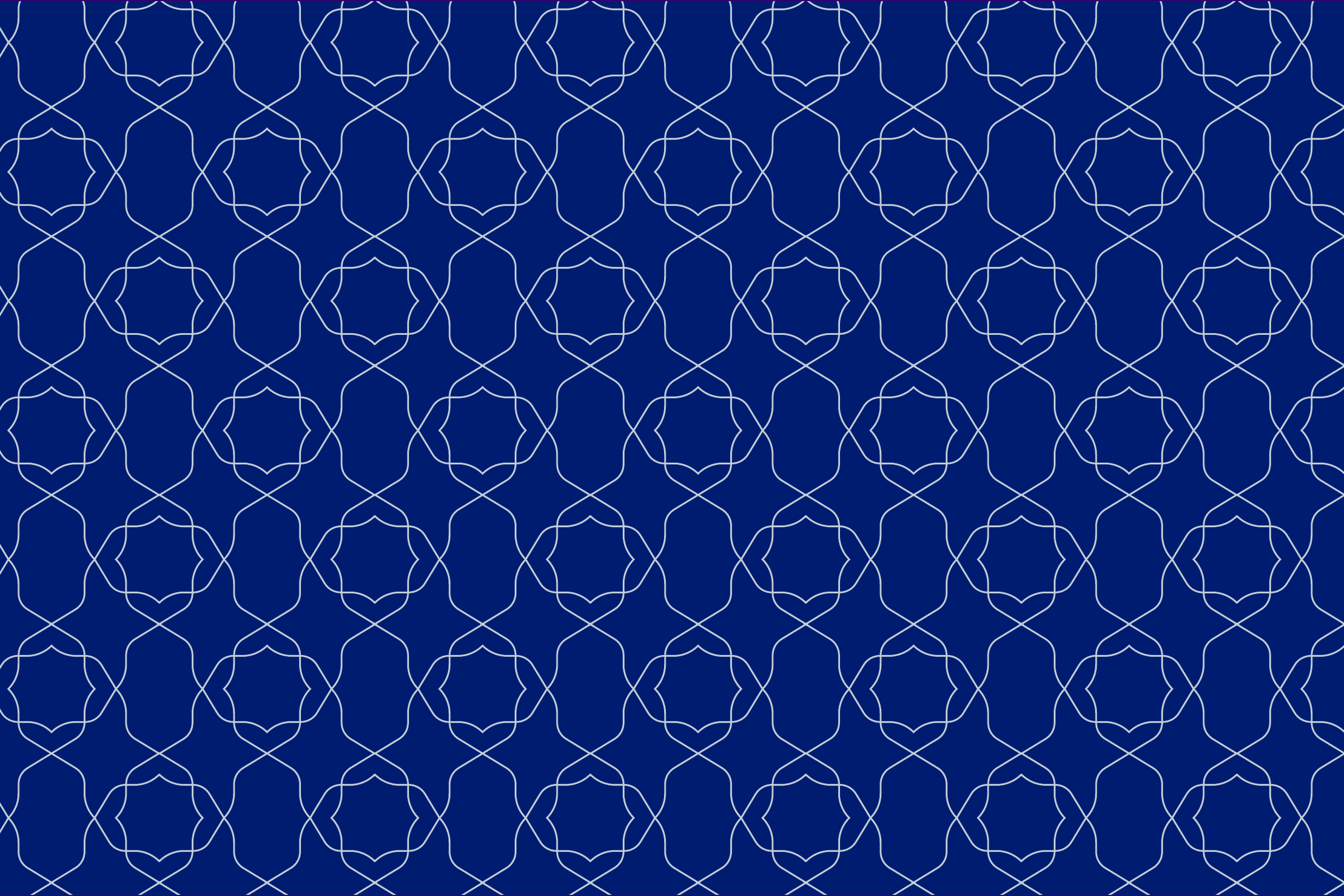 The emblem’s outline repeated into a lattice of fine pale lines on navy.