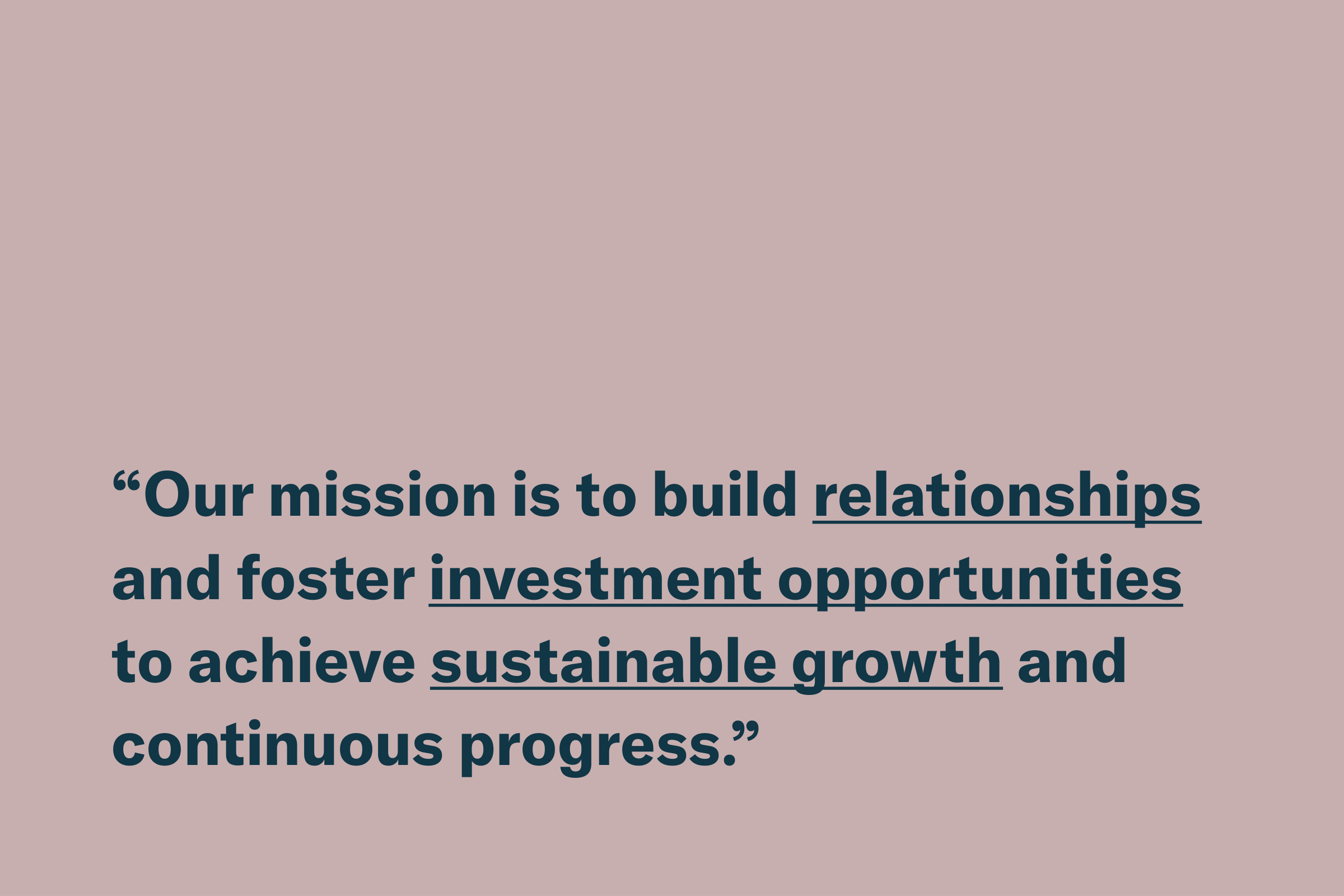 Branding rationales board: the mission statement in deep blue on dusty pink, with relationships, investment opportunities and sustainable growth underlined.