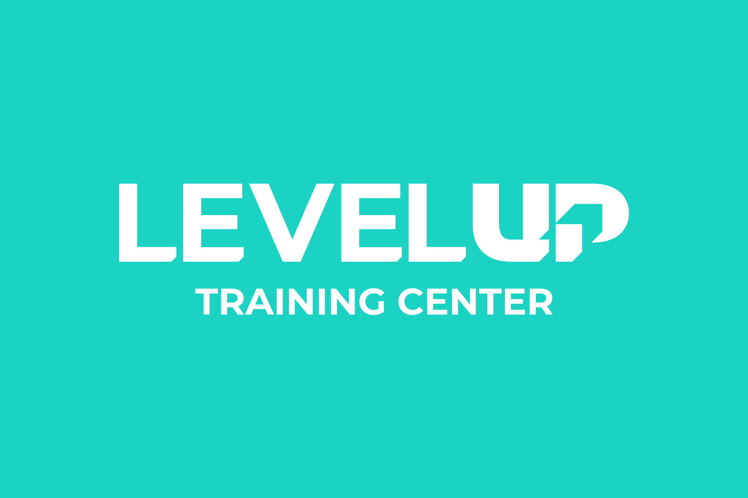 The logo in white on turquoise: LEVELUP in heavy capitals with clipped corners over TRAINING CENTER.