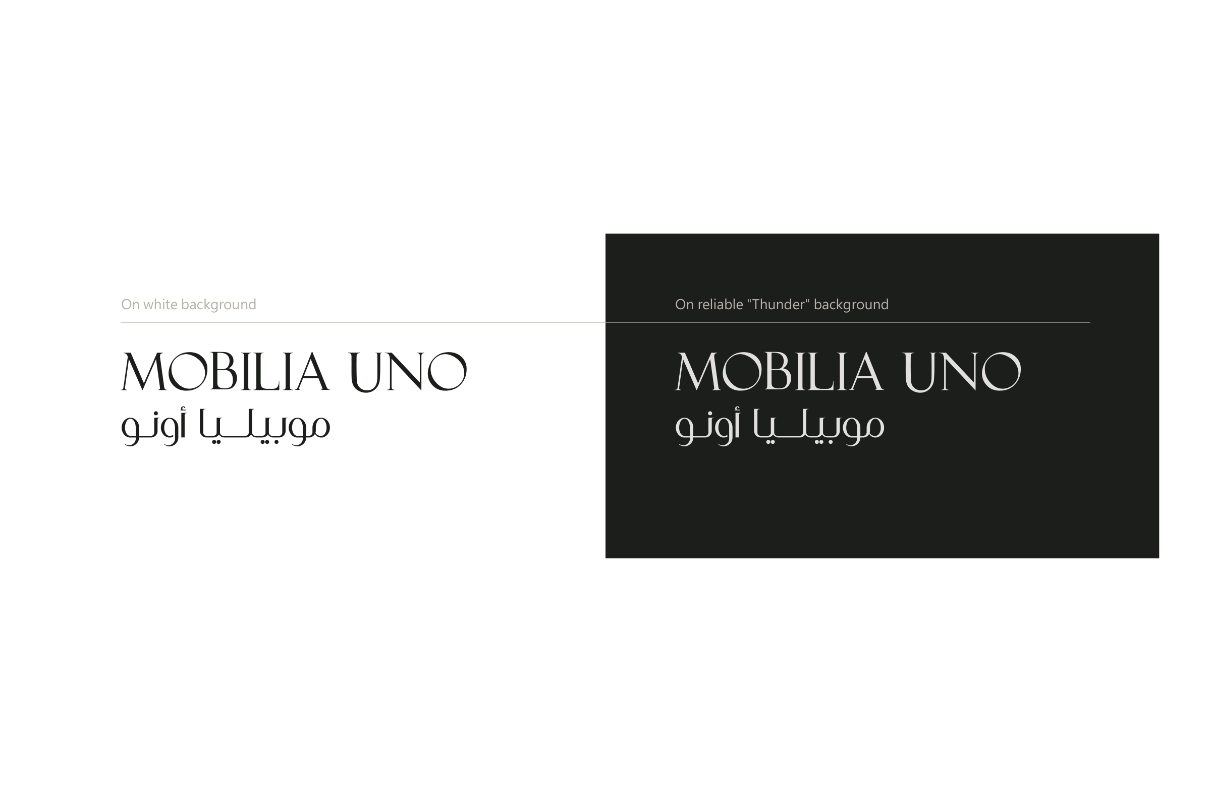 The logo in black on white and in white on the near-black Thunder colour, side by side.