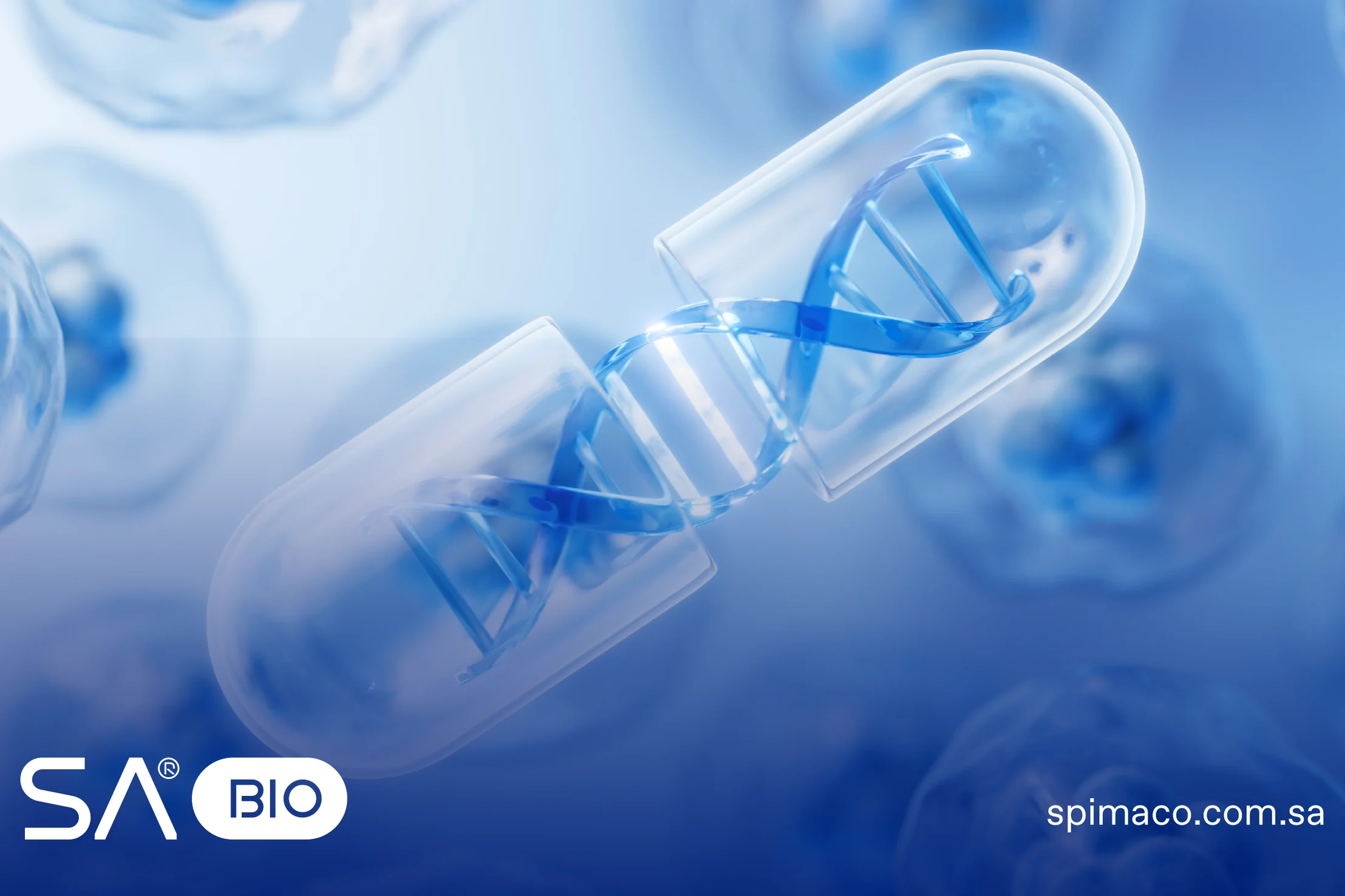 A clear capsule holding a blue DNA strand among cells, with the monogram at the lower left and spimaco.com.sa at the lower right.