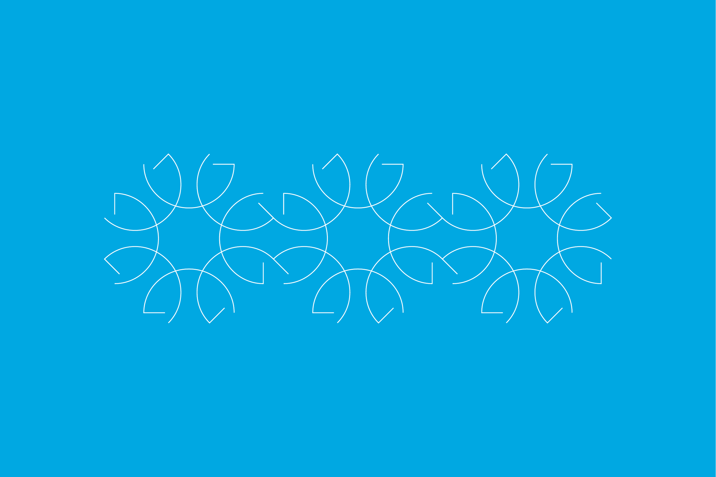 The rosette’s petals repeated in a row as fine white outlines on blue.